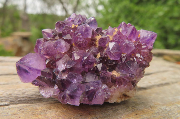 Natural Amethystos Amethyst Plate Specimens x 20 From Kwaggafontein, South Africa