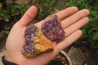 Natural Amethystos Amethyst Plate Specimens x 20 From Kwaggafontein, South Africa