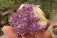 Natural Amethystos Amethyst Plate Specimens x 20 From Kwaggafontein, South Africa