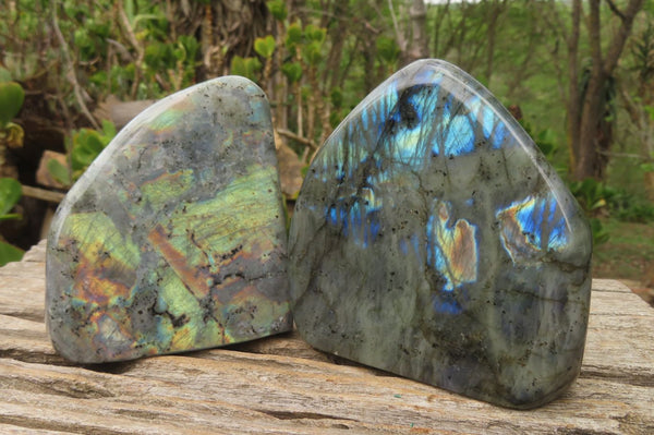 Polished Labradorite Standing Free Forms x 2 From Tulear, Madagascar