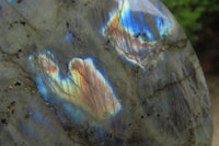 Polished Labradorite Standing Free Forms x 2 From Tulear, Madagascar