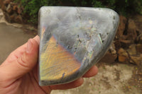 Polished Labradorite Standing Free Forms x 2 From Tulear, Madagascar