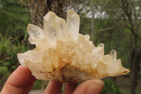 Natural Quartz Capital Crystal Clusters x 12 From Madagascar