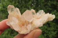 Natural Quartz Capital Crystal Clusters x 12 From Madagascar