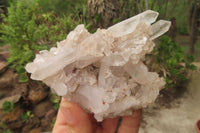 Natural Quartz Capital Crystal Clusters x 12 From Madagascar