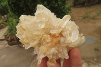 Natural Quartz Capital Crystal Clusters x 12 From Madagascar