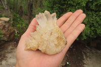 Natural Quartz Capital Crystal Clusters x 12 From Madagascar