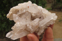 Natural Quartz Capital Crystal Clusters x 12 From Madagascar