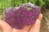 Polished Rare Metallic Purpurite Slices x 4 From Erongo, Namibia