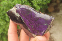 Polished Rare Metallic Purpurite Slices x 4 From Erongo, Namibia