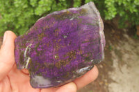 Polished Rare Metallic Purpurite Slices x 4 From Erongo, Namibia