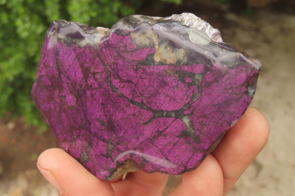 Polished Rare Metallic Purpurite Slices x 4 From Erongo, Namibia