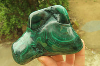 Polished Flower Banded Malachite Free Forms x 3 From Congo