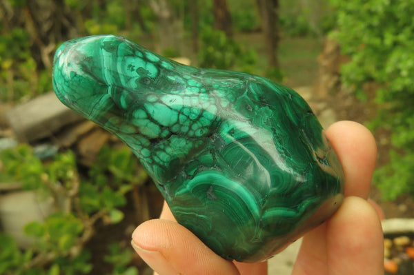 Polished Flower Banded Malachite Free Forms x 3 From Congo