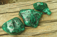 Polished Flower Banded Malachite Free Forms x 3 From Congo