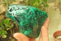 Polished Flower Banded Malachite Free Forms x 3 From Congo