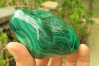 Polished Flower Banded Malachite Free Forms x 3 From Congo