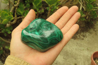 Polished Flower Banded Malachite Free Forms x 3 From Congo