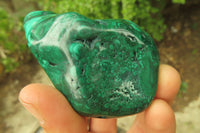 Polished Flower Banded Malachite Free Forms x 3 From Congo