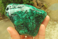 Polished Flower Banded Malachite Free Forms x 3 From Congo