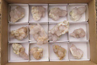 Natural Spirit Quartz Crystals and Clusters x 12 From Boekenhouthoek, South Africa