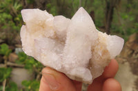 Natural Spirit Quartz Crystals and Clusters x 12 From Boekenhouthoek, South Africa