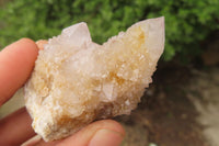 Natural Spirit Quartz Crystals and Clusters x 12 From Boekenhouthoek, South Africa