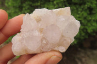 Natural Spirit Quartz Crystals and Clusters x 12 From Boekenhouthoek, South Africa