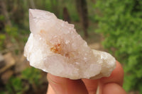 Natural Spirit Quartz Crystals and Clusters x 12 From Boekenhouthoek, South Africa