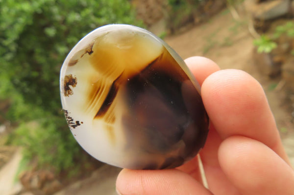 Polished Dendritic Agate Standing Galet - Palmstones x 12 From Madagascar