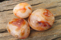 Polished Carnelian Agate Galet - Palmstones x 12 From Madagascar