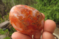 Polished Carnelian Agate Galet - Palmstones x 12 From Madagascar