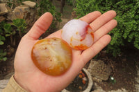 Polished Carnelian Agate Galet - Palmstones x 12 From Madagascar