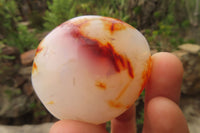 Polished Carnelian Agate Galet - Palmstones x 12 From Madagascar