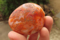 Polished Carnelian Agate Galet - Palmstones x 12 From Madagascar