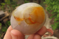 Polished Carnelian Agate Galet - Palmstones x 12 From Madagascar