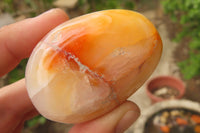 Polished Carnelian Agate Galet - Palmstones x 12 From Madagascar