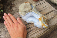 Natural XL Blue Lace Agate Geode Specimens x 2 From Nsanje, Malawi