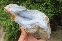 Natural XL Blue Lace Agate Geode Specimens x 2 From Nsanje, Malawi