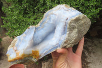 Natural XL Blue Lace Agate Geode Specimens x 2 From Nsanje, Malawi