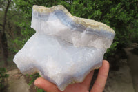 Natural XL Blue Lace Agate Geode Specimens x 2 From Nsanje, Malawi