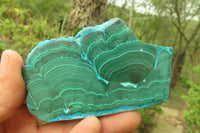 Polished Rare Malacolla Slices x 6 From Kalukundi Mine, Congo