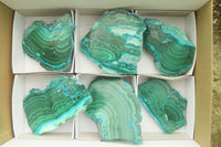 Polished Rare Malacolla Slices x 6 From Kalukundi Mine, Congo