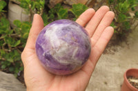 Polished Chevron Amethyst Spheres x 2 From Madagascar