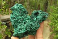 Natural Silky Malachite Specimens x 3 From Kasompe, Congo