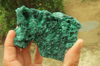 Natural Silky Malachite Specimens x 3 From Kasompe, Congo