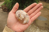 Polished Flower Agate Palm Stones x 12 From Madagascar