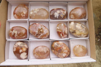 Polished Flower Agate Palm Stones x 12 From Madagascar