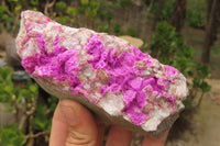 Natural Salrose Cobaltion Dolomite Specimens x 2 From Kakanda, Congo