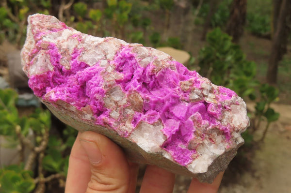 Natural Salrose Cobaltion Dolomite Specimens x 2 From Kakanda, Congo